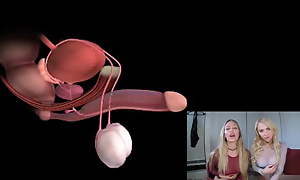Male orgasm anatomy explained. Eye-opening JOI.