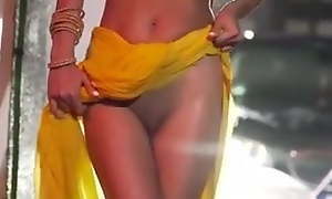 Poonam Pandey, nude winking video